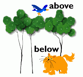 ab