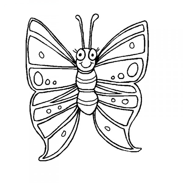 motyl