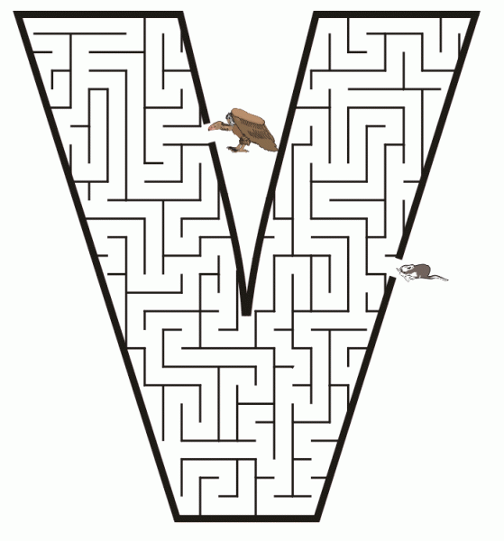 V