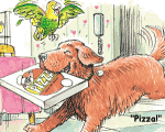 ilupizza